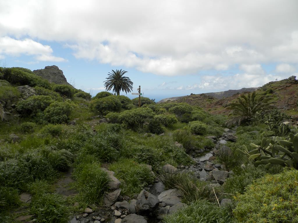 Wanderung von Arure nach  El Cercado, Calera